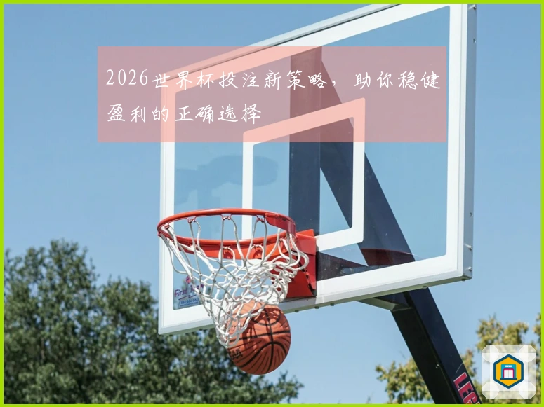 2026世界杯投注新策略，助你稳健盈利的正确选择