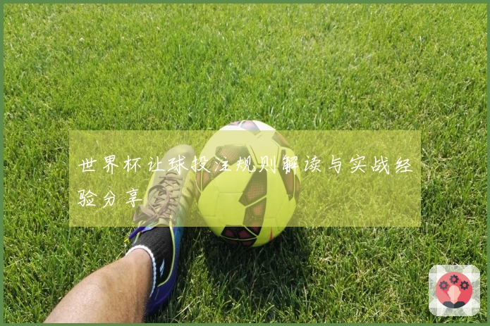 世界杯让球投注规则解读与实战经验分享