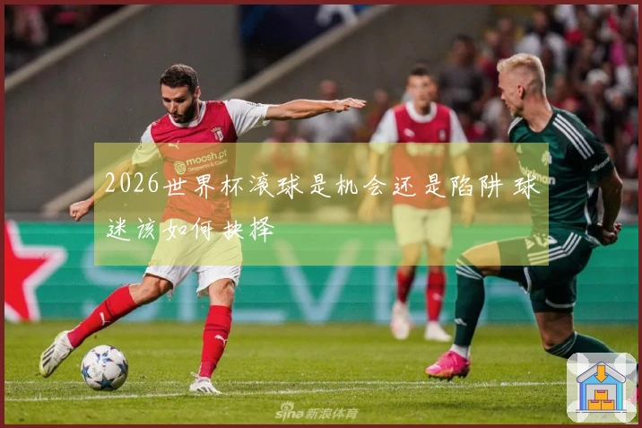 2026世界杯滚球是机会还是陷阱 球迷该如何抉择